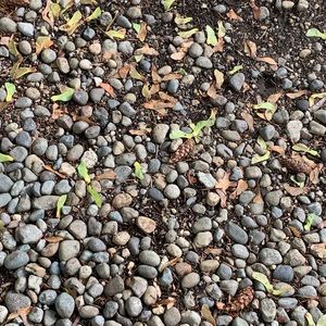 Meet your Posher, Heba